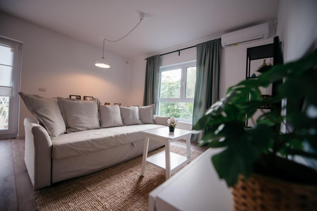 Apartment Nuez Dumbravita (Timis)
